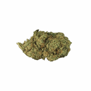 Amnesia - Sisätiloissa CBD