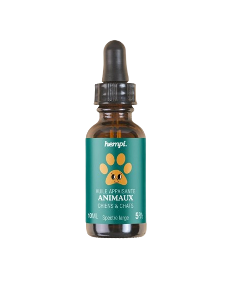 CBD Oil for Dogs & Cats 5%