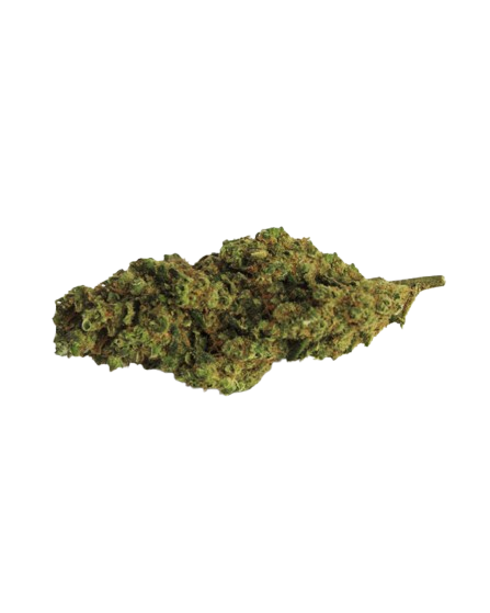 Wedding Cake - Indoor CBD