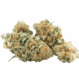 CBD Gelato Indoor