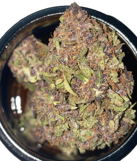 Le Champ Hemp Flower – French Aromatic CBD Experience