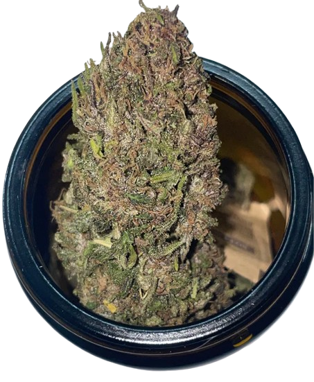 Té de flores de cáñamo «Piña Rosa»: una dulce experiencia tropical con CBD