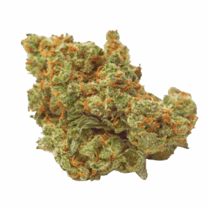 CBD Tropicana Cake – Indoor