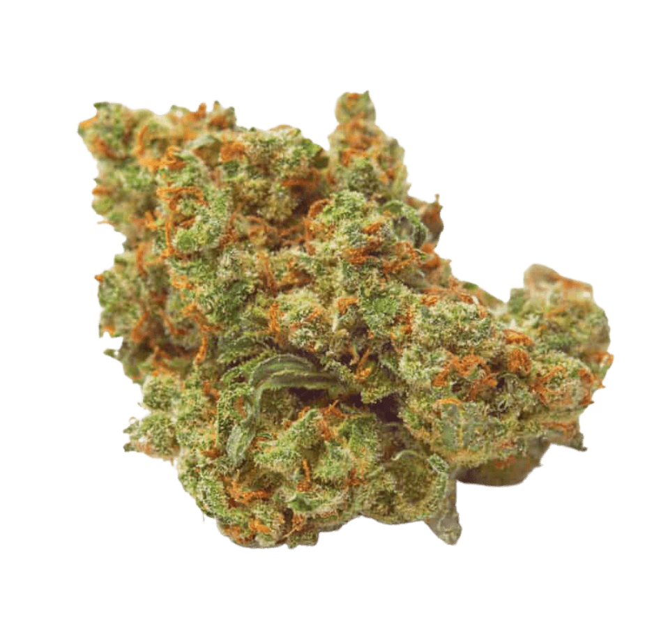CBD Tropicana Cake – Indoor